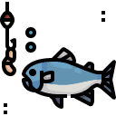 Trout